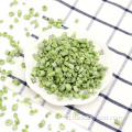 Kacang kering beku premium